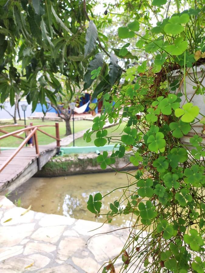 Cores Do Cerrado - Chales E Suites Goiás Eksteriør billede